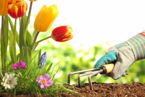Seasonal hedge maintenance in Twickenham